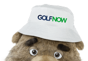 gopher-half-head