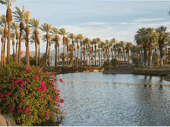 Palm Springs