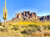 Phoenix-Scottsdale