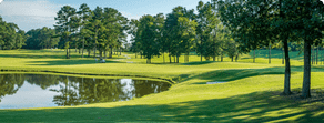 Explore Courses Near Me