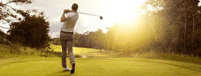 Explore Your Favorite Courses
